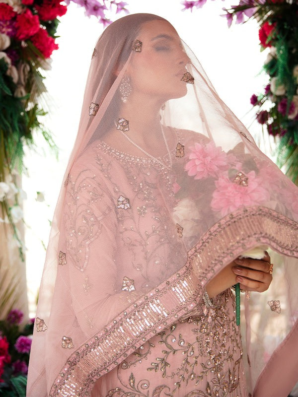 Pink Embroidered Chiffon Suit